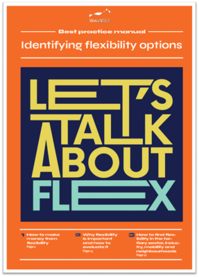 Best practice manual - Identifying flexibility options 