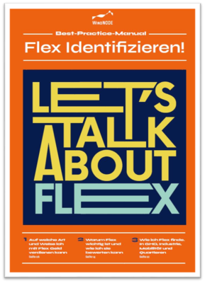 Best-Practice-Manual - Flex Identifizieren!